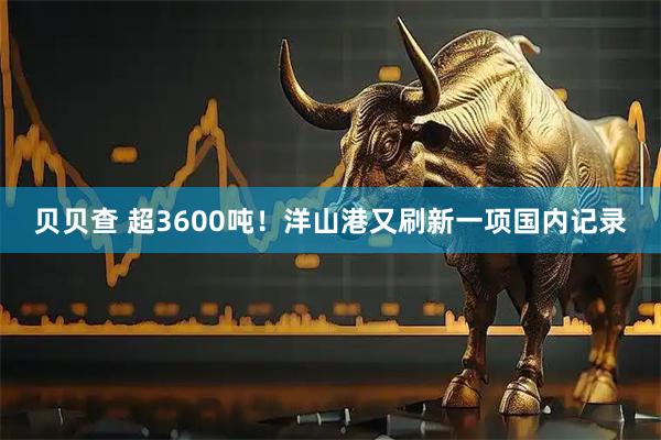 贝贝查 超3600吨!洋山港又刷新一项国内记录